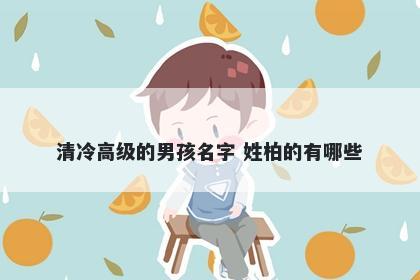 清冷高级的男孩名字 姓柏的有哪些