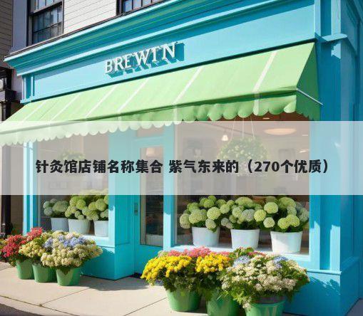 针灸馆店铺名称集合 紫气东来的（270个优质）