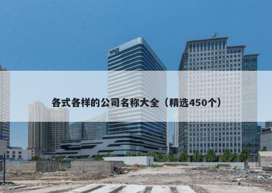 各式各样的公司名称大全（精选450个）