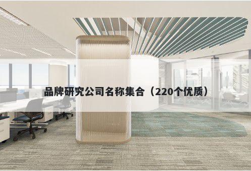 品牌研究公司名称集合（220个优质）