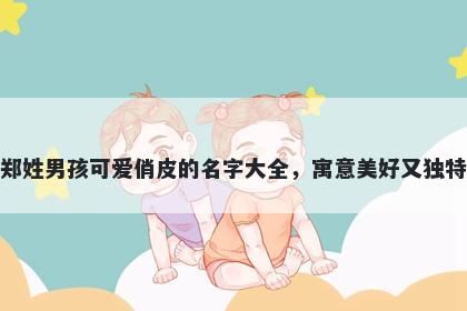 郑姓男孩可爱俏皮的名字大全,寓意美好又独特