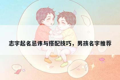 志字起名忌讳与搭配技巧，男孩名字推荐
