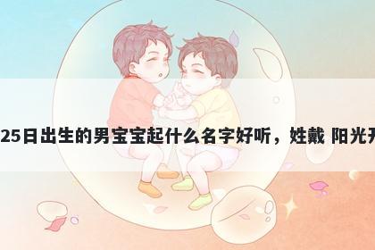 2025年-11月-25日出生的男宝宝起什么名字好听,姓戴 阳光开朗的名字推荐