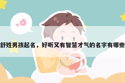 舒姓男孩起名,好听又有智慧才气的名字有哪些