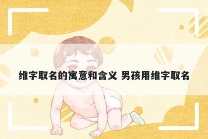 维字取名的寓意和含义 男孩用维字取名