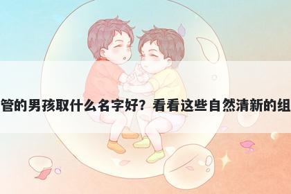 姓管的男孩取什么名字好?看看这些自然清新的组合