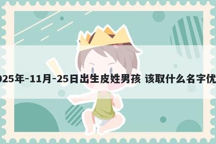 2025年-11月-25日出生皮姓男孩 该取什么名字优美