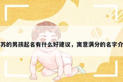 姓苏的男孩起名有什么好建议,寓意满分的名字介绍