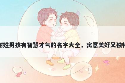 谢姓男孩有智慧才气的名字大全，寓意美好又独特