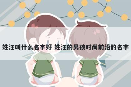 姓汪叫什么名字好 姓汪的男孩时尚前沿的名字