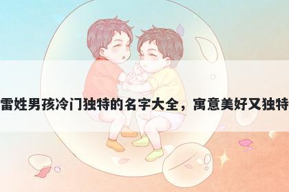 雷姓男孩冷门独特的名字大全,寓意美好又独特