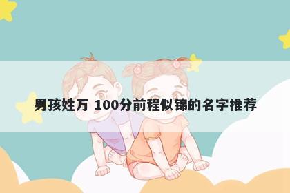 男孩姓万 100分前程似锦的名字推荐