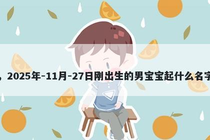 我姓何，2025年-11月-27日刚出生的男宝宝起什么名字比较好