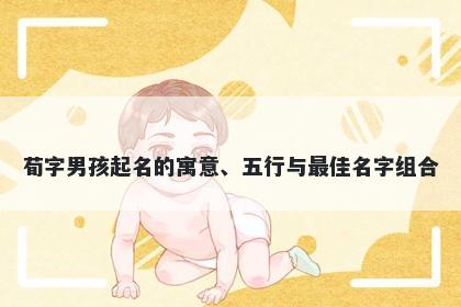 荀字男孩起名的寓意、五行与最佳名字组合