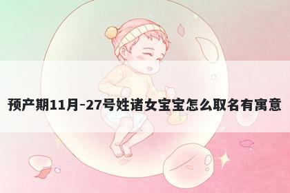 预产期11月-27号姓诸女宝宝怎么取名有寓意