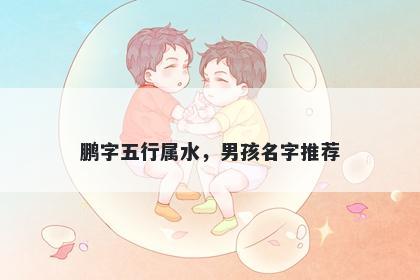 鹏字五行属水，男孩名字推荐