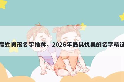 高姓男孩名字推荐,2026年最具优美的名字精选