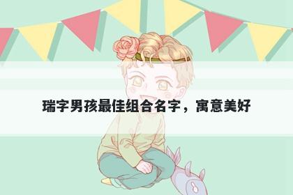 瑞字男孩最佳组合名字，寓意美好