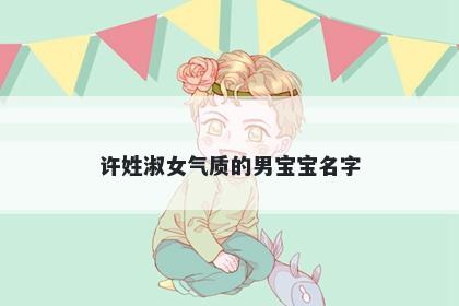 许姓淑女气质的男宝宝名字