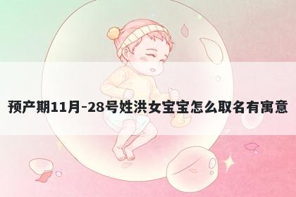 预产期11月-28号姓洪女宝宝怎么取名有寓意