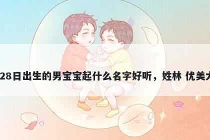 2025年-11月-28日出生的男宝宝起什么名字好听,姓林 优美大方的名字推荐