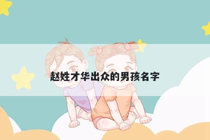 赵姓才华出众的男孩名字