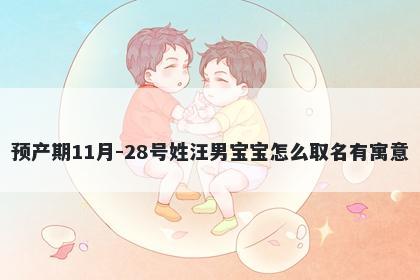 预产期11月-28号姓汪男宝宝怎么取名有寓意