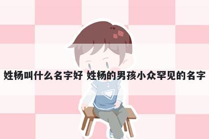 姓杨叫什么名字好 姓杨的男孩小众罕见的名字