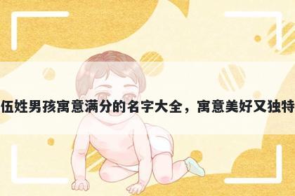 伍姓男孩寓意满分的名字大全,寓意美好又独特