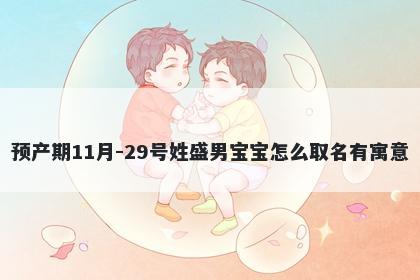 预产期11月-29号姓盛男宝宝怎么取名有寓意