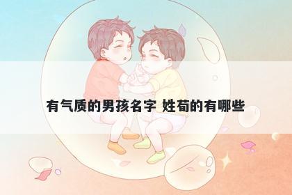 有气质的男孩名字 姓荀的有哪些