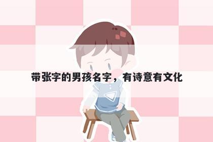带张字的男孩名字，有诗意有文化