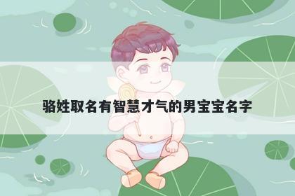 骆姓取名有智慧才气的男宝宝名字