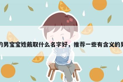 刚出生的男宝宝姓戴取什么名字好，推荐一些有含义的男孩名字