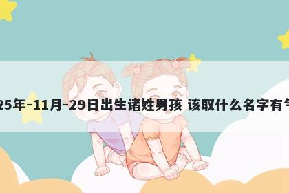 2025年-11月-29日出生诸姓男孩 该取什么名字有气质