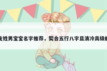 支姓男宝宝名字推荐，契合五行八字且清冷高级的