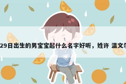 2025年-11月-29日出生的男宝宝起什么名字好听，姓许 温文尔雅的名字推荐