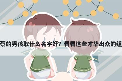 姓蔡的男孩取什么名字好？看看这些才华出众的组合