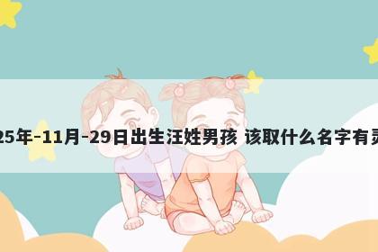 2025年-11月-29日出生汪姓男孩 该取什么名字有灵气