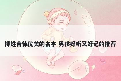 柳姓音律优美的名字 男孩好听又好记的推荐