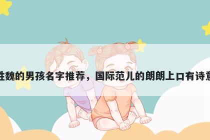 姓魏的男孩名字推荐,国际范儿的朗朗上口有诗意