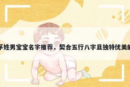 茅姓男宝宝名字推荐,契合五行八字且独特优美的