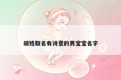 胡姓取名有诗意的男宝宝名字