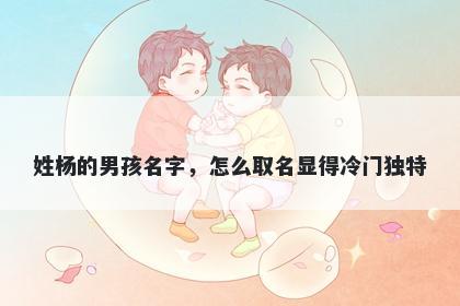 姓杨的男孩名字，怎么取名显得冷门独特