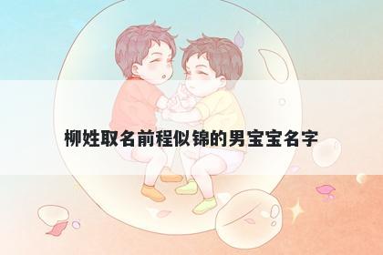 柳姓取名前程似锦的男宝宝名字