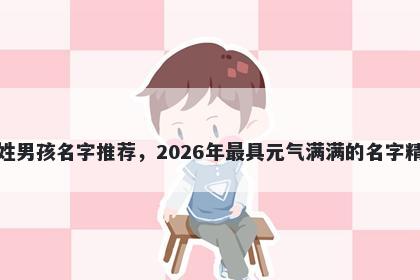 贺姓男孩名字推荐,2026年最具元气满满的名字精选