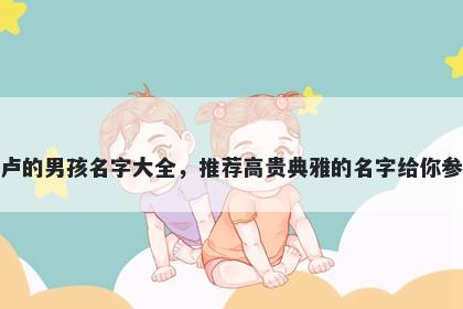 姓卢的男孩名字大全,推荐高贵典雅的名字给你参考