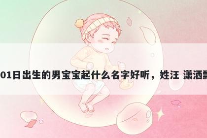 2025年-12月-01日出生的男宝宝起什么名字好听,姓汪 潇洒飘逸的名字推荐