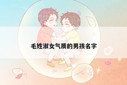 毛姓淑女气质的男孩名字