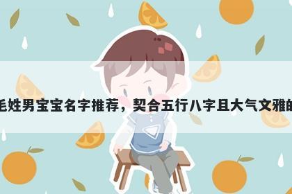 毛姓男宝宝名字推荐，契合五行八字且大气文雅的